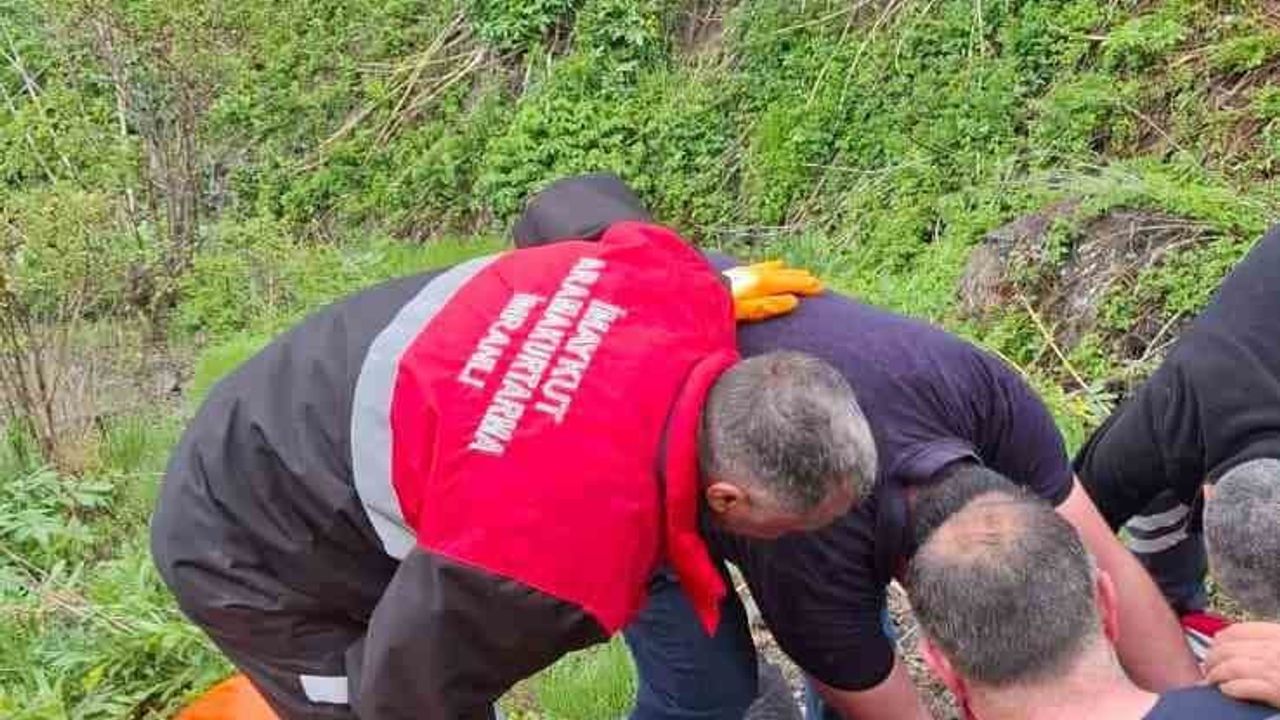 Sivas İmranlı’da mantar toplarken ayı saldırısı: M.Z. (45) parmağı koptu, hastaneye kaldırıldı