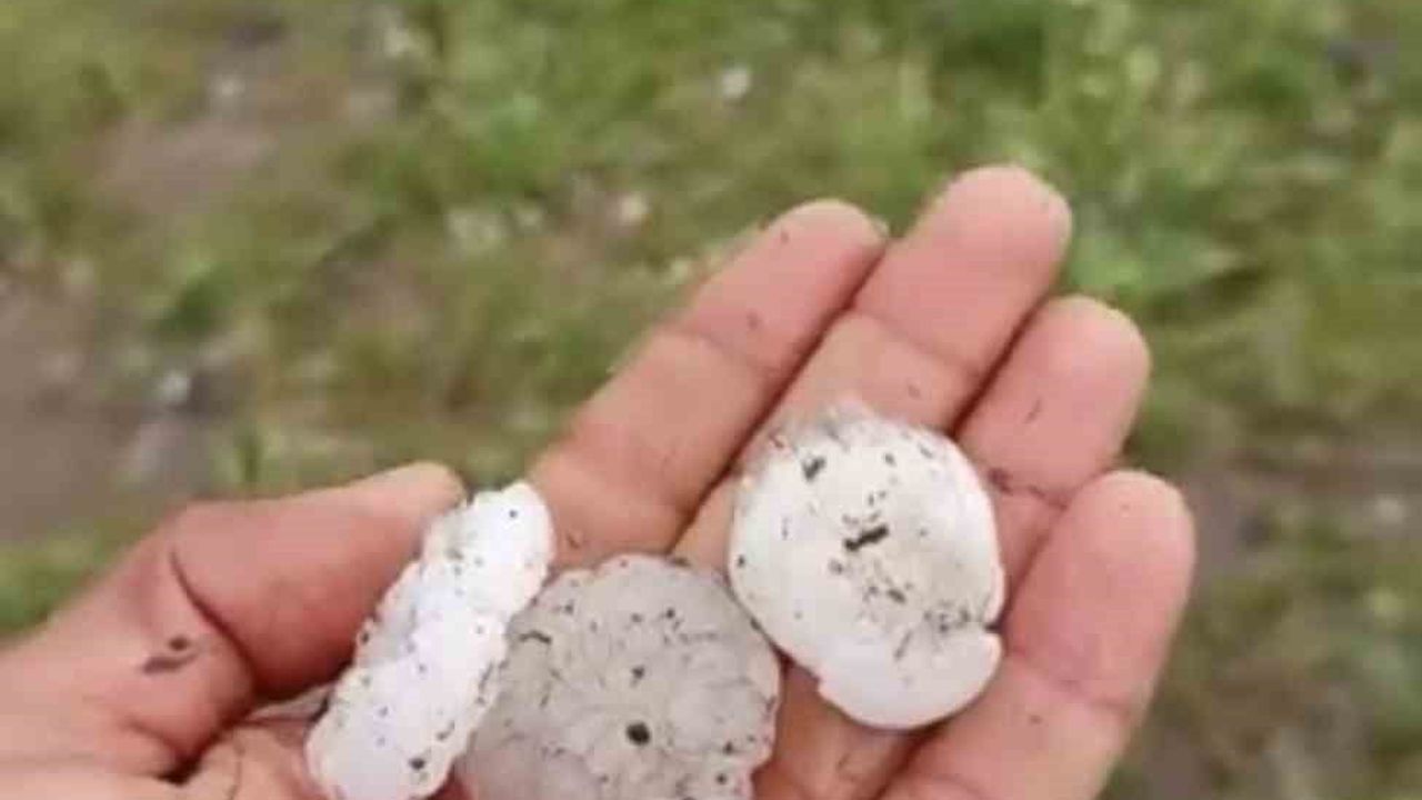 Siverek'te sağanak sonrası ceviz büyüklüğünde dolu tarım arazilerine zarar verdi