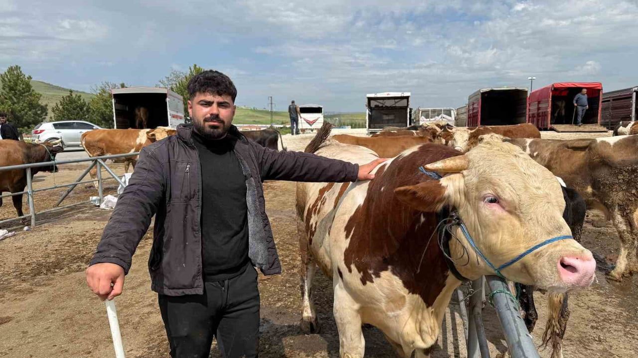 Sorgun Hayvan Pazarında Bayram Öncesi Hareketlilik: Besiciler ve Alıcılar Pazarda Buluştu