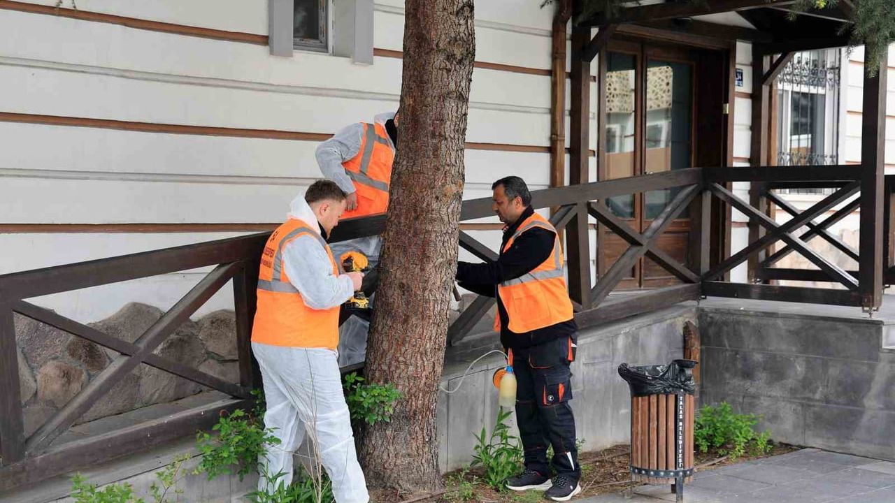 Talas Belediyesi 'arborjet' ile ağaç korumasında çevre dostu ilaçlama başlattı