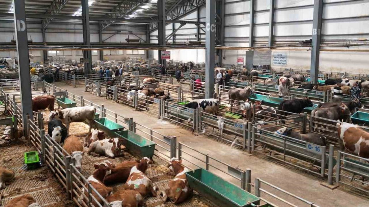 Tarım ve Hayvancılıkta Erzurum Modeli: Büyükşehir'den Kapsamlı Yatırımlar