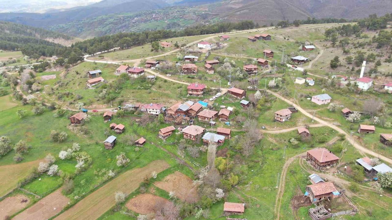 Taşköprü'de ahır göçüğü: 63 yaşındaki kadın hayatını kaybetti, 94 hayvan telef oldu