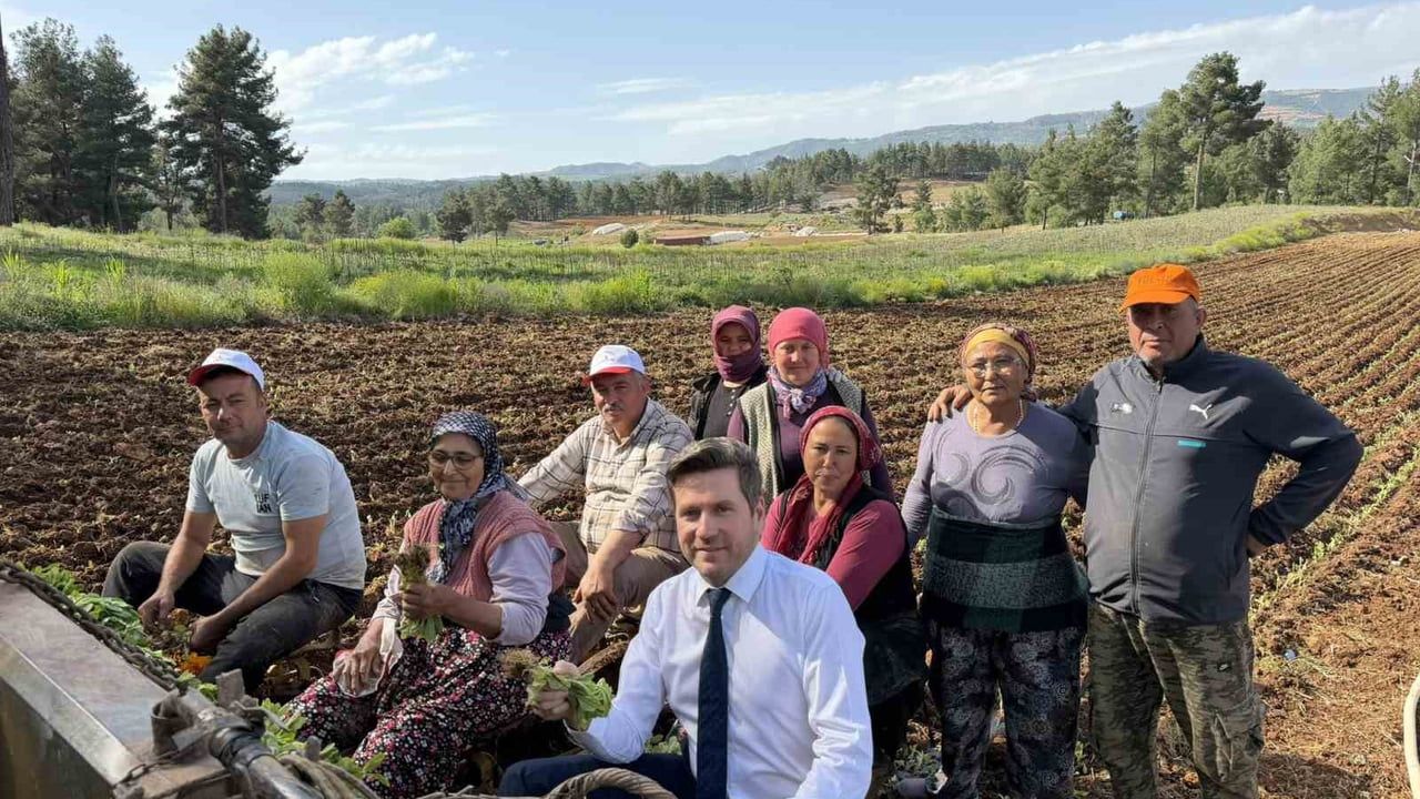 Tavas ve Beyağaç Belediye Başkanları Üreticilerle Birlikte Tütün Dikimine Katıldı