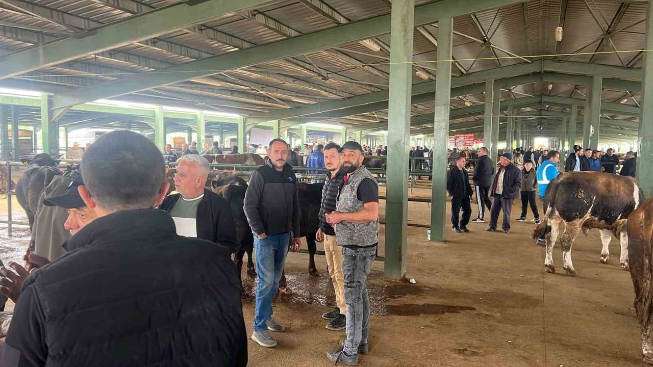 Tavşanlı Hayvan Pazarında Kurbanlık Hareketliliği: Fiyatlar ve Beklentiler
