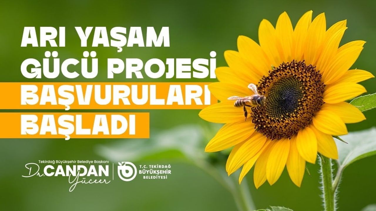 Tekirdağ'da arıcılara yüzde 50 destekli yem desteği: Başvurular 15 Mayıs 2026'ya kadar