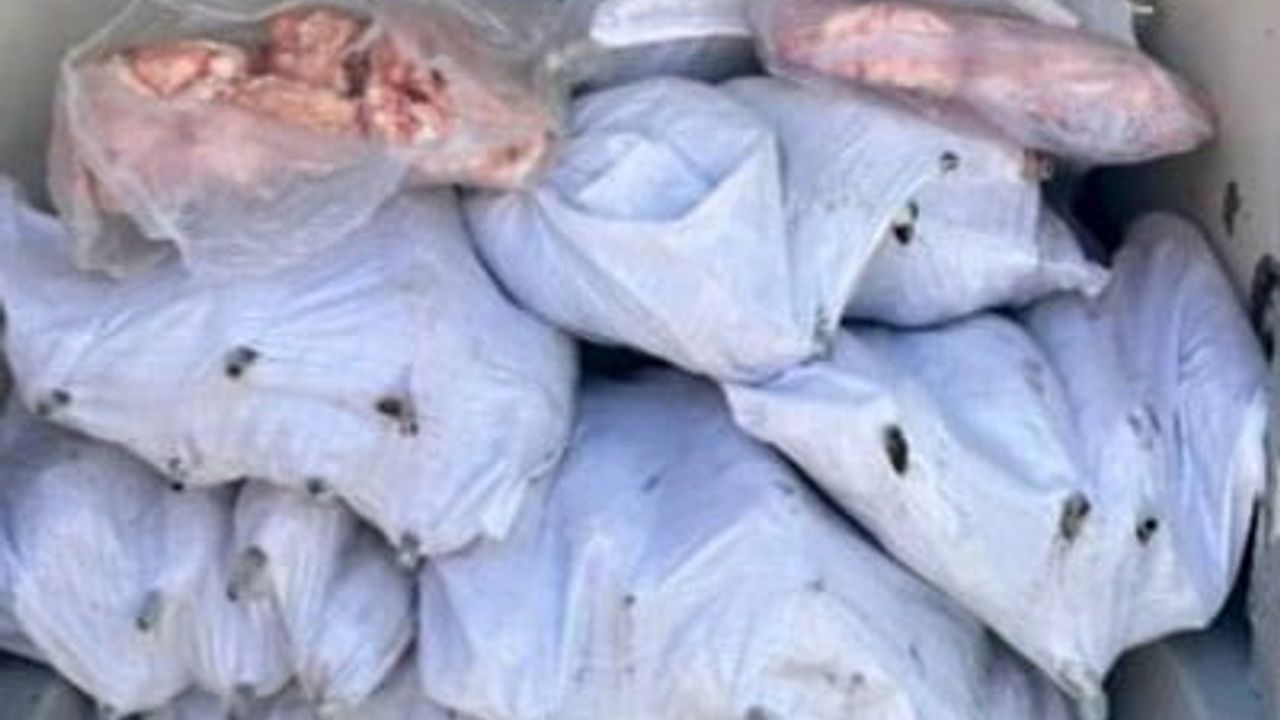 Tekirdağ'da jandarma ihbarıyla 1,5 ton iç yağ ve 140 kokoreç imha edildi