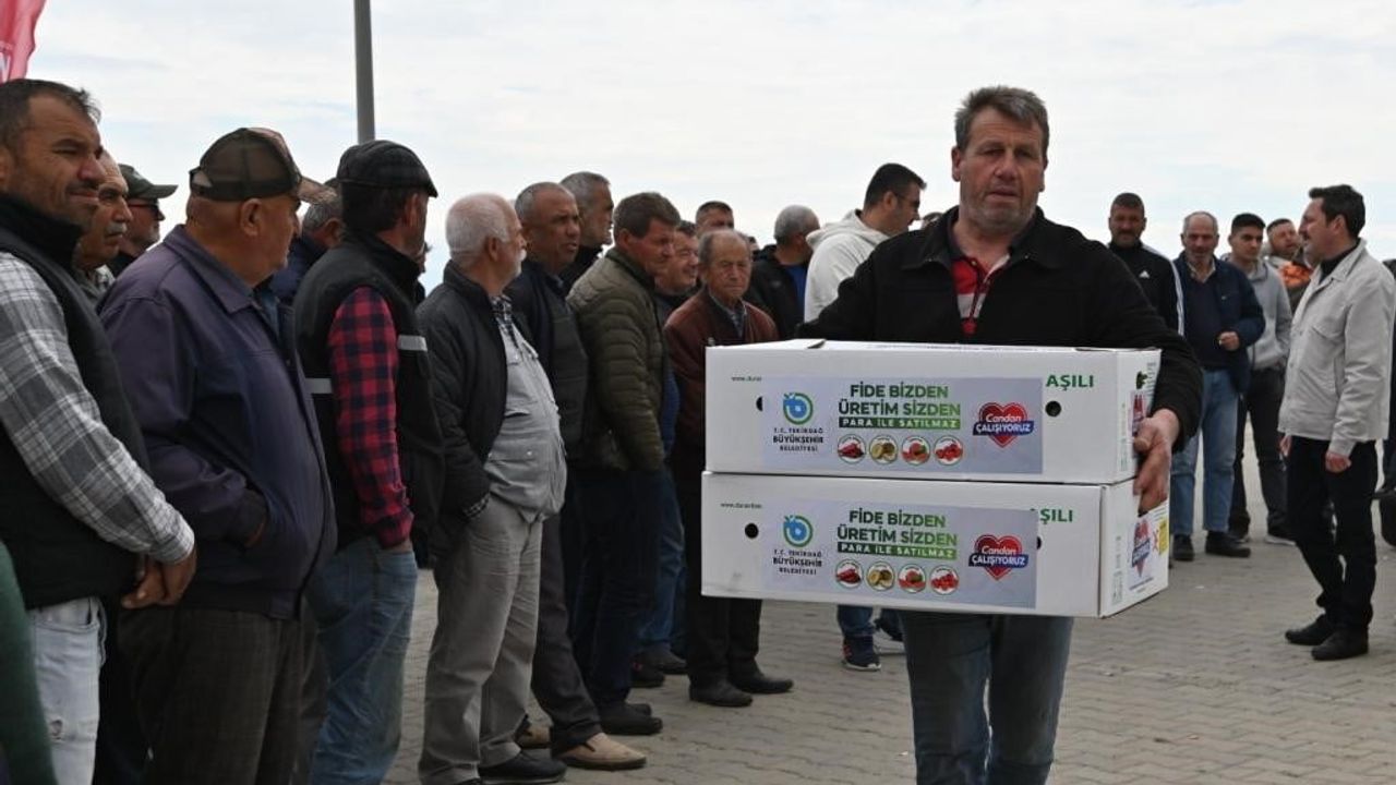 Tekirdağ'da Sebzeciliği Geliştirme Projesi: Şarköy'de 170 Üreticiye 123 Bin Fide, İlde 482 Bin Hedefi