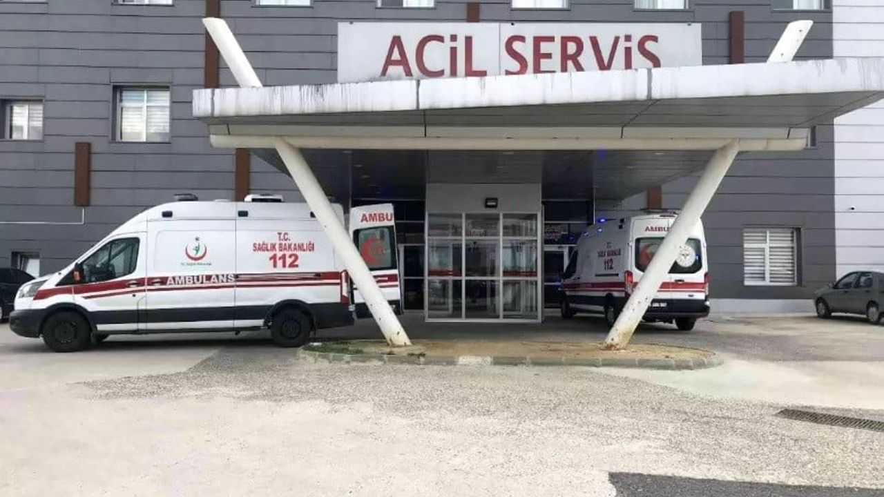 Tekirdağ Muratlı'da arı saldırısına uğrayan yaşlı çift tedavi altına alındı