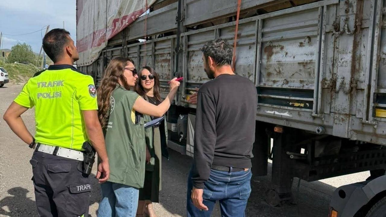 Tercan'da kurbanlık hayvan sevkiyatlarına sıkı denetim