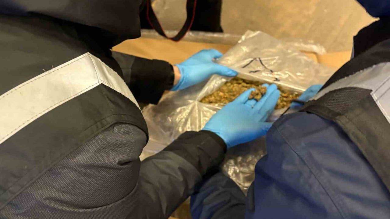 Ticaret Bakanlığı: Gümrükler Muhafaza ekipleri 6 operasyonda 659 kg uyuşturucu ele geçirdi