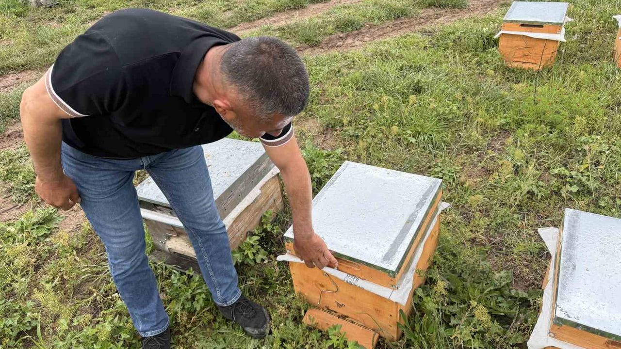 Tokat Erbaa'da gezgin arıcılar sel ve kar arasında mahsur kaldı
