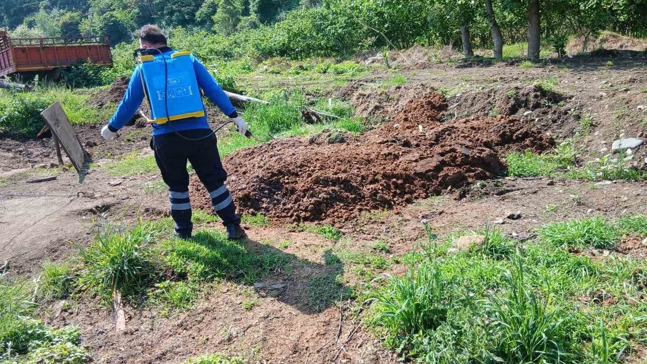 Trabzon Büyükşehir’den Kurban Alanlarında Hijyen Seferberliği