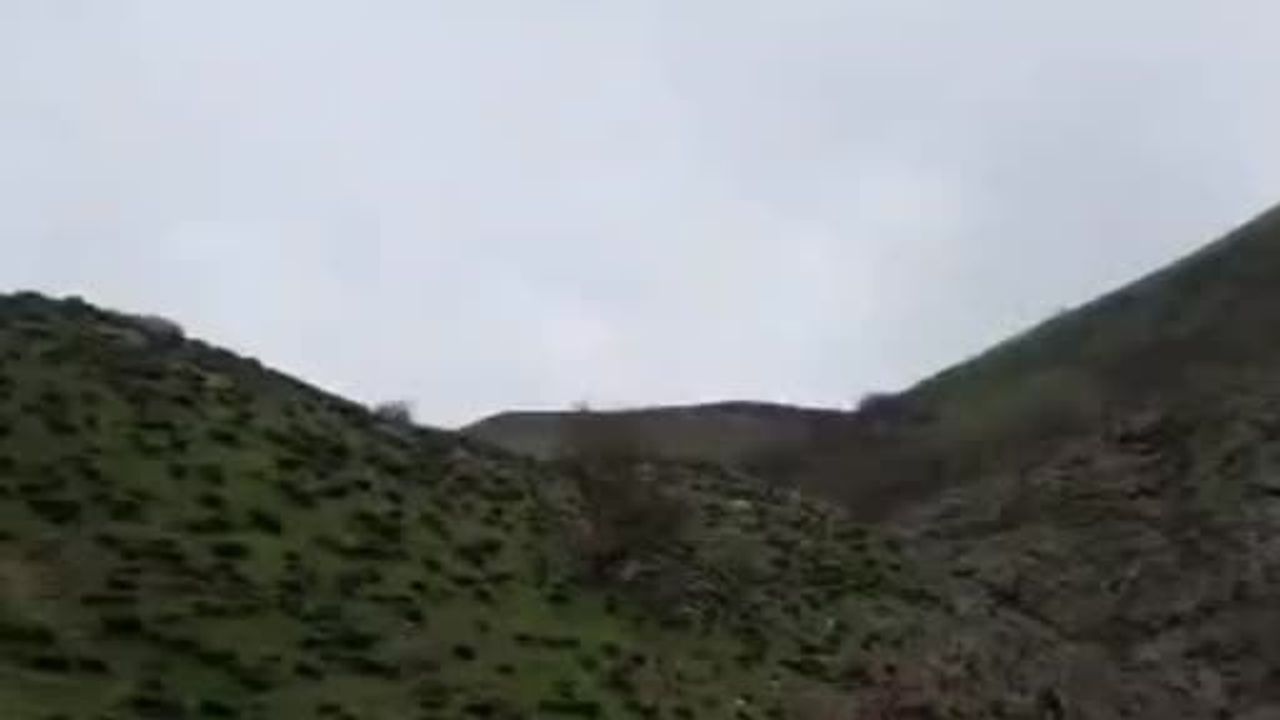Tunceli'de Koruma Altındaki Şamuanın Yüksek Tepeden Uzun Atlayışı Kamerada