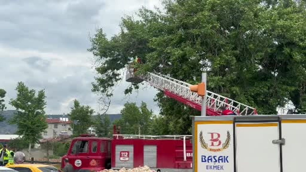 Turhal'da taşkın riskine karşı tedbirler artırıldı, esnaf kepenk kapattı