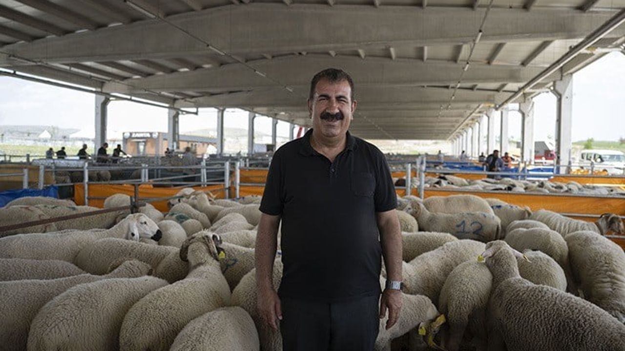 TÜRKYED Başkanı Nihat Çelik: Kurban kesiminde İslami usul ve piyasa uyarıları