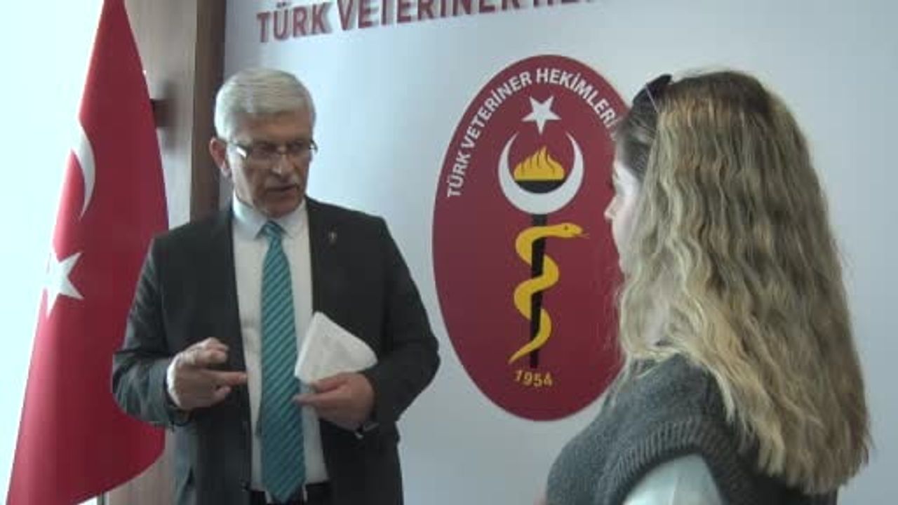 TVHB Başkanı Ali Eroğlu: Kurbanlıkta veteriner sağlık raporu ve kesim hijyenine dikkat