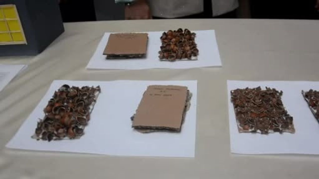 Ünye'de Şehit Taner Kart Ortaokulu Bilim Şenliğinde 19 Proje Sergiledi