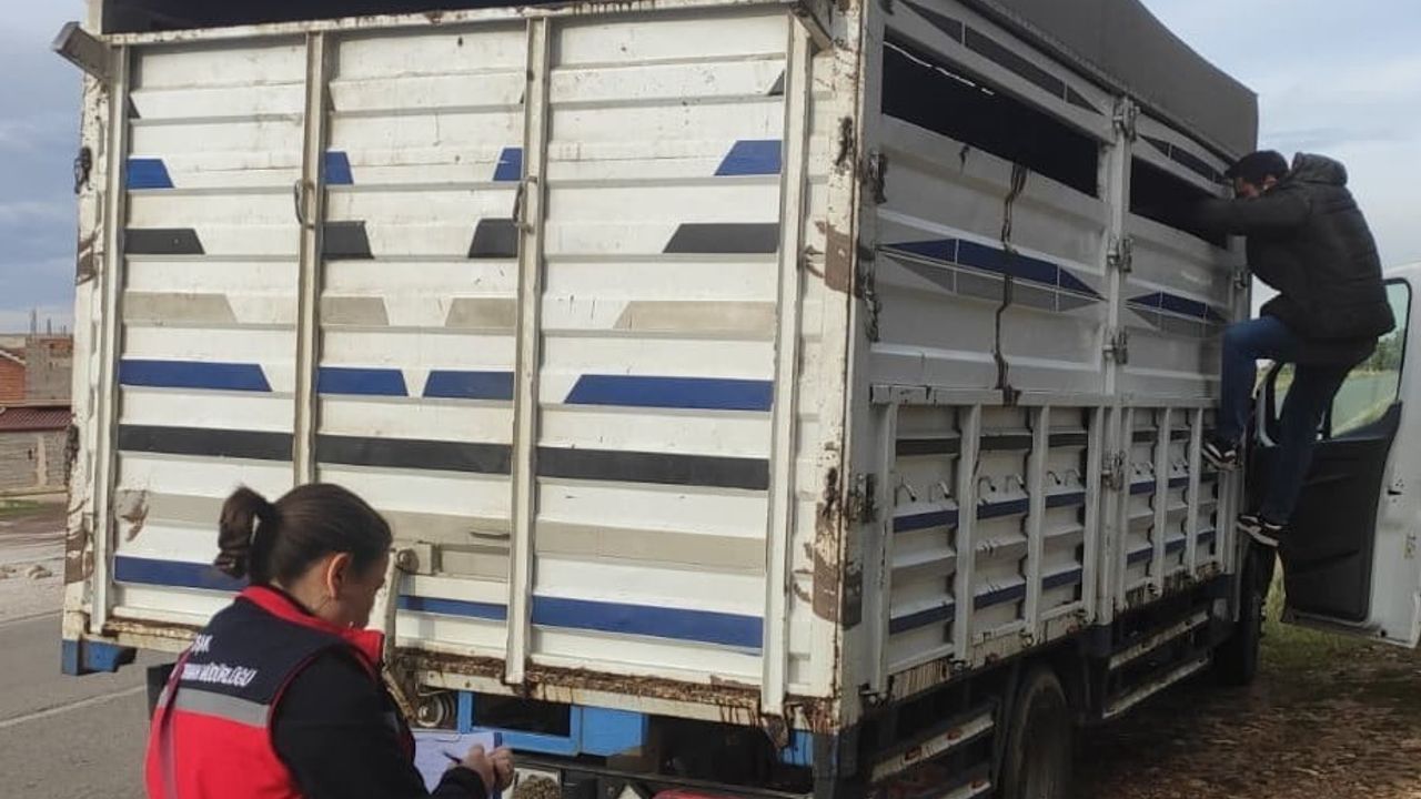 Uşak’ta hayvan sağlığı ve halk sağlığını güvence altına alma amaçlı denetimler devam ediyor