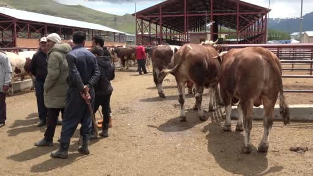 Uzman uyarısı: Kurban eti en az 12–24 saat dinlendirilmeli
