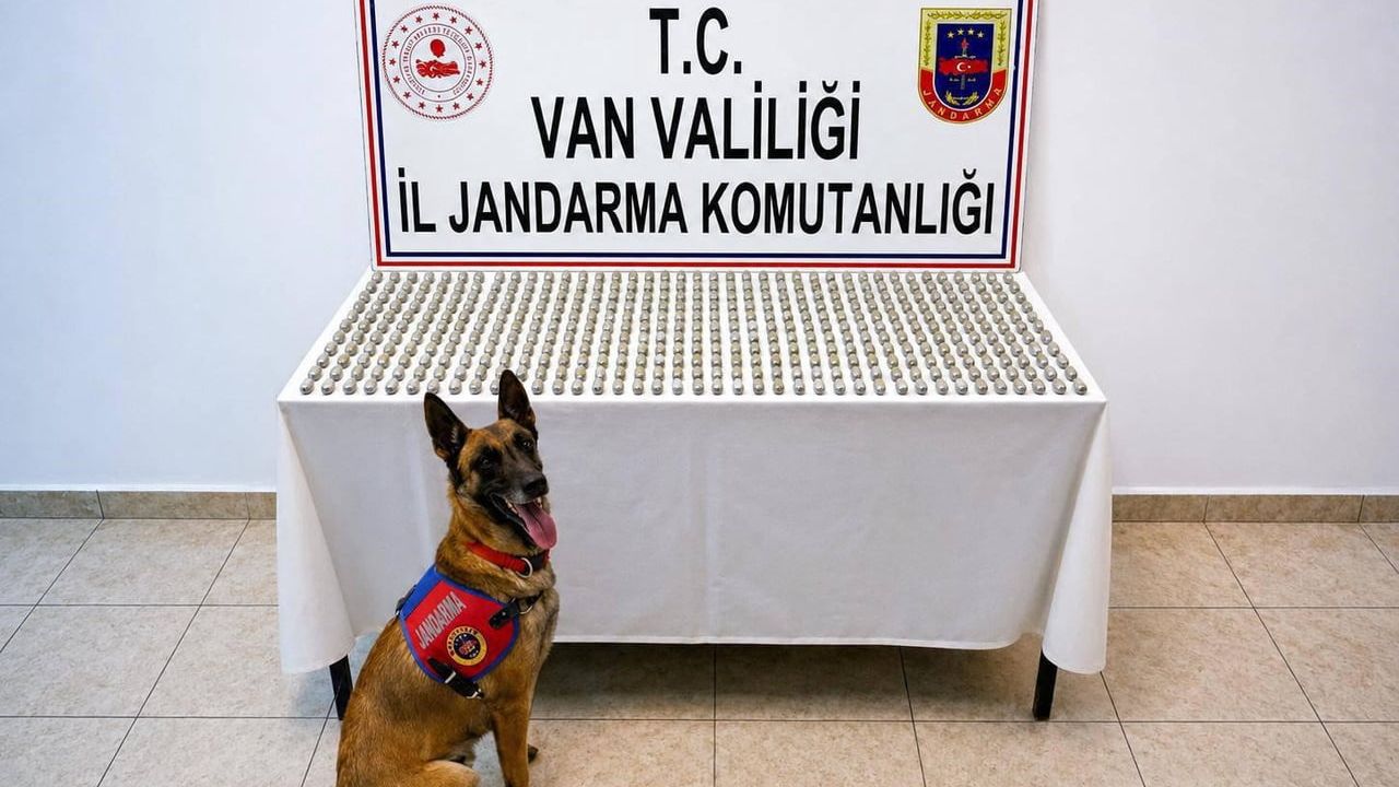 Van'da midesinde kapsül halinde uyuşturucu taşıyan 8 İran uyruklu yakalandı