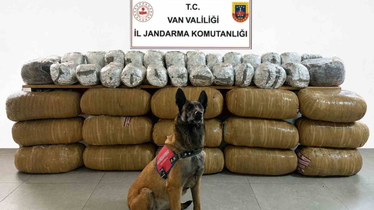 Van'da operasyon: 443 kilo 159 gram uyuşturucu ve 718 sentetik hap ele geçirildi