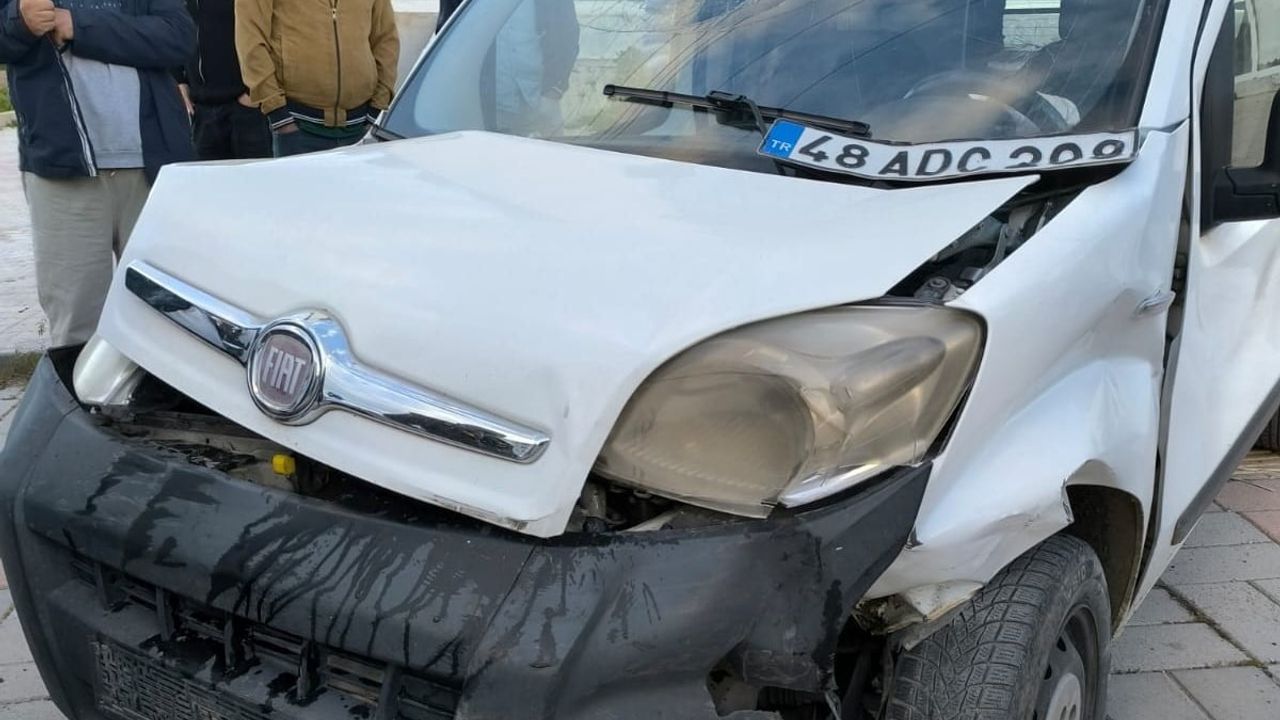 Van Gevaş'ta iki kamyonetin çarpışması: 3 yaralı