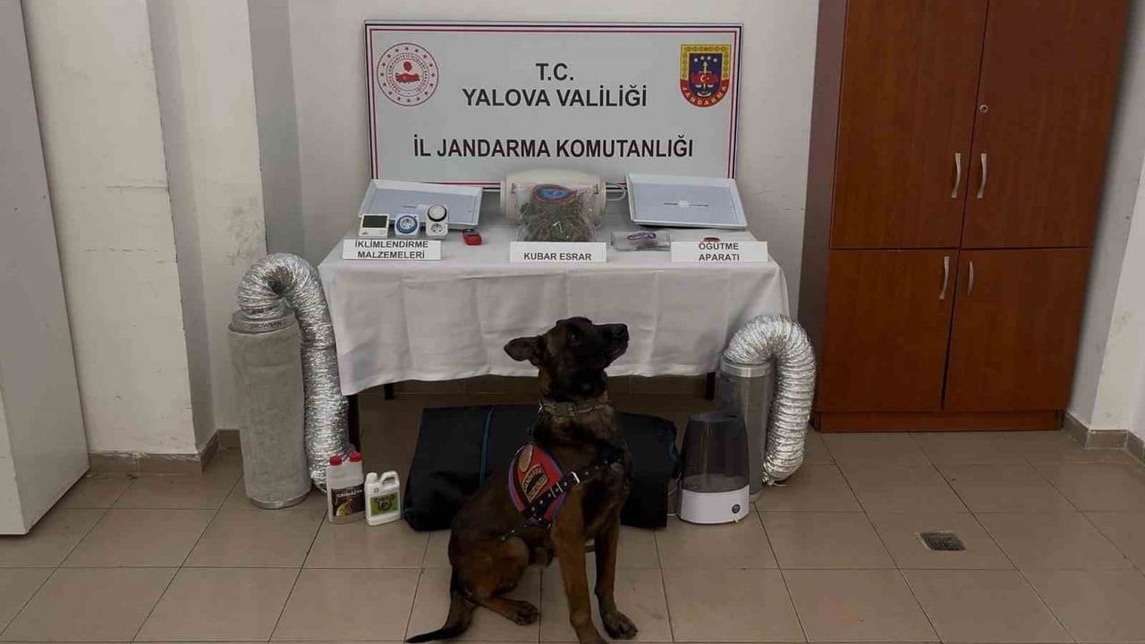 Yalova merkezli 3 ilde göçmen kaçakçılığı operasyonu: 3 kişi tutuklandı