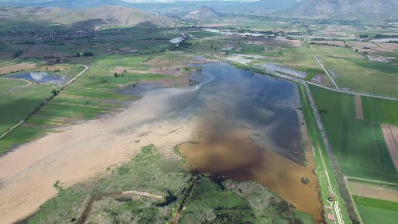 Yeşilırmak kıyısındaki kuş cenneti drone ile havadan görüntülendi