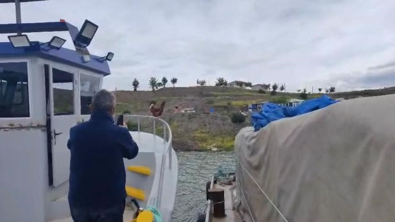 Yozgat’ta 'Kaptan Tavuk' Süreyya Bey Barajı'nda Balıkçıları Gülümsetti