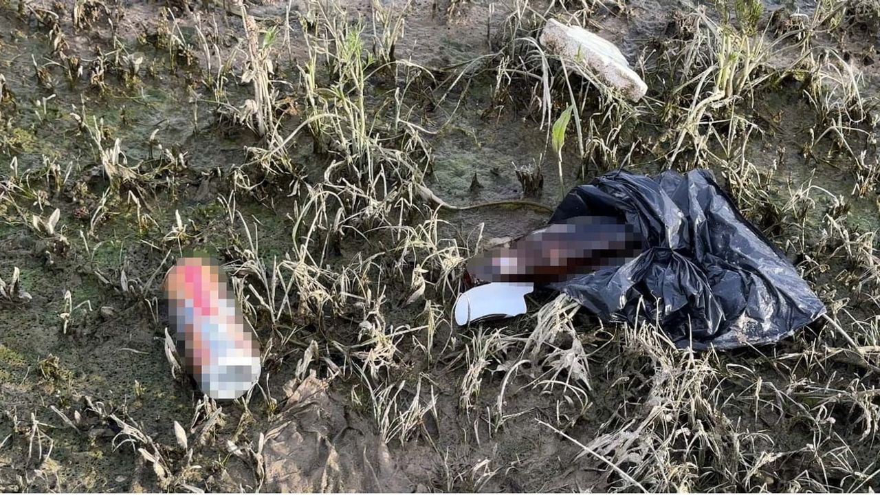 Yüksekova'da Nehil Sazlığı'nda piknik atıkları çevre kaygısı oluşturdu
