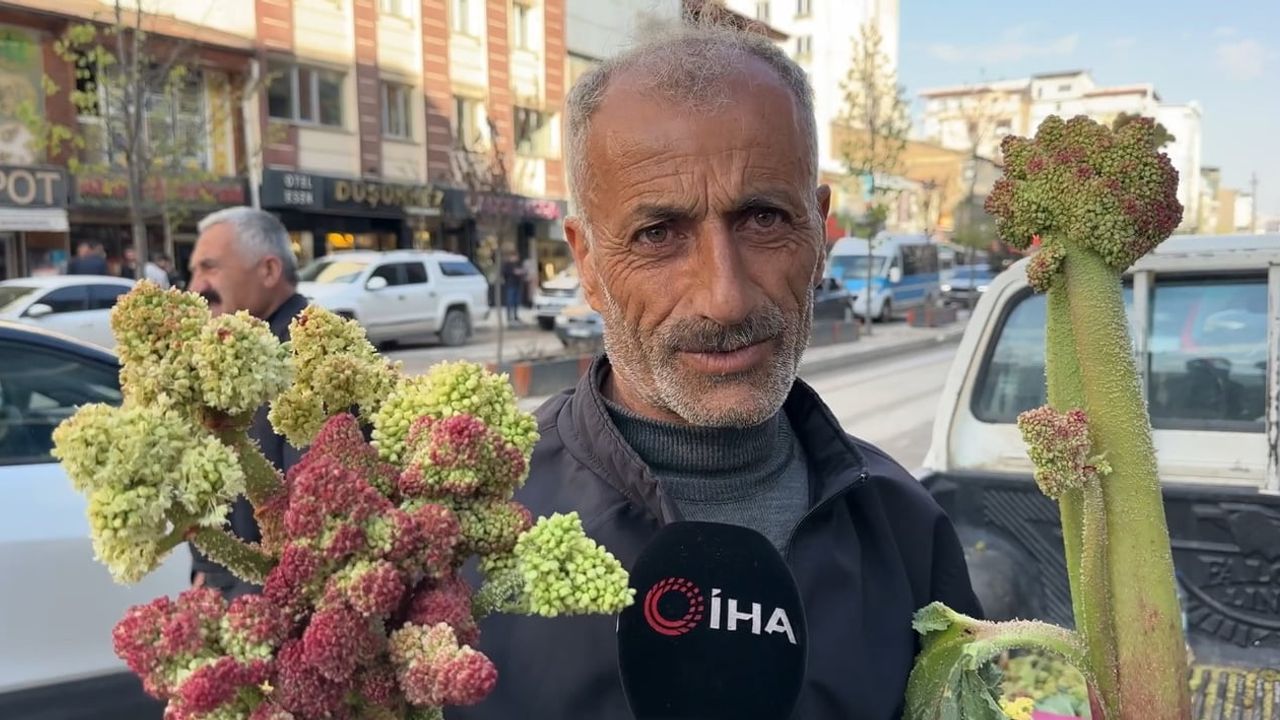 Yüksekova’da 'yayla muzu' uçkun tezgahlarda: Sınırdan getirilip 100 liradan satışa sunuldu