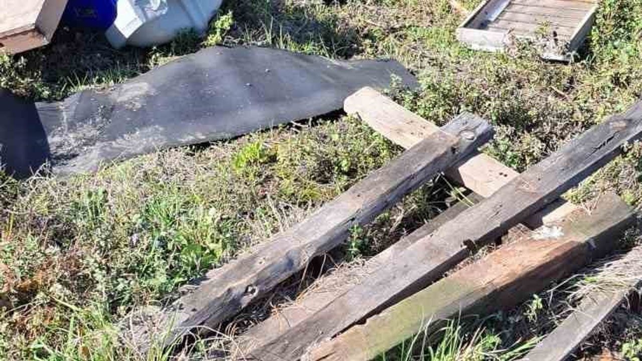 Zonguldak'ta arıcının kovanları ayı saldırısında parçalandı