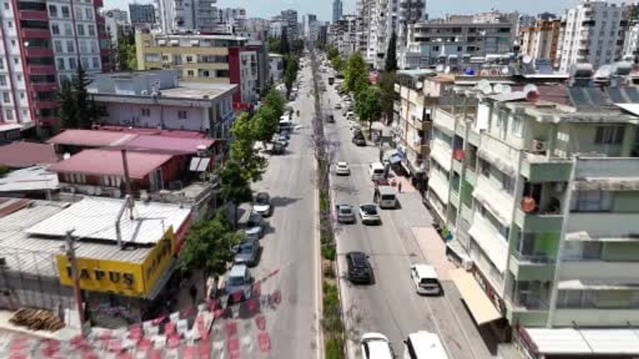 Adana'da jakaranda ağaçları çiçeklendi, kent mor-lila renklere büründü