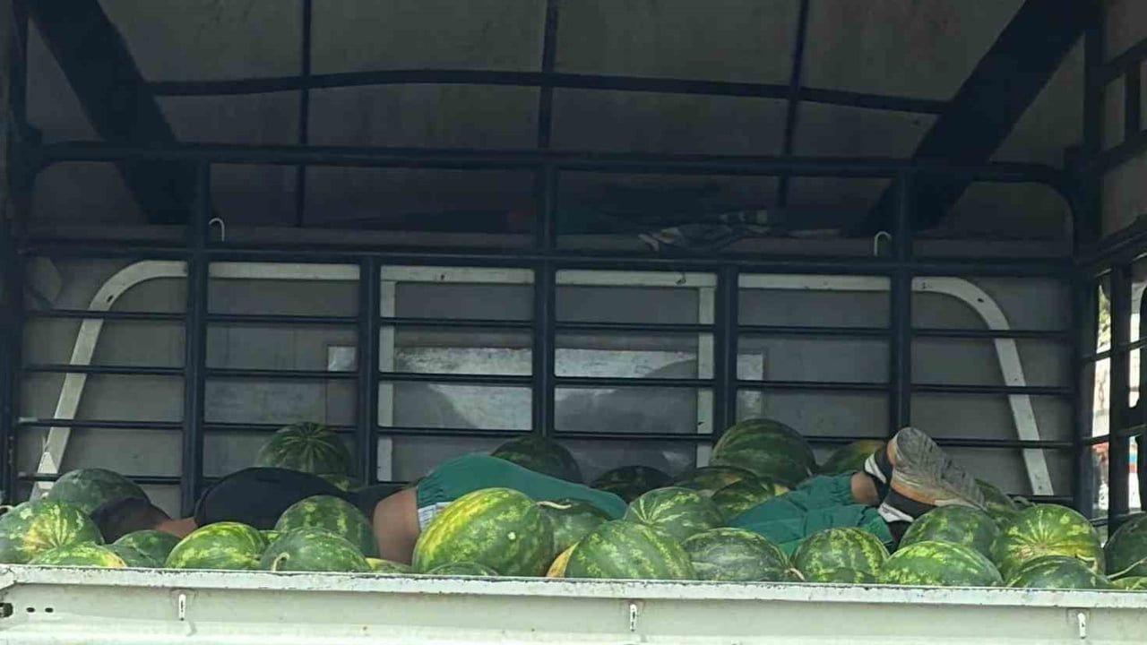 Adana'da kamyonet kasasında karpuzların üzerinde uyuyan işçi görüntülendi