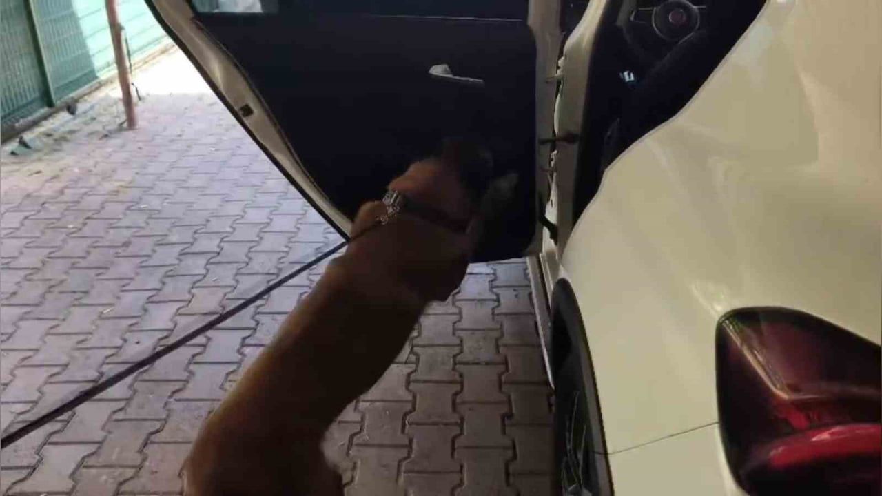 Adana'da otomobil kapısından 6 kilo 250 gram bonzai ham maddesi ele geçirildi