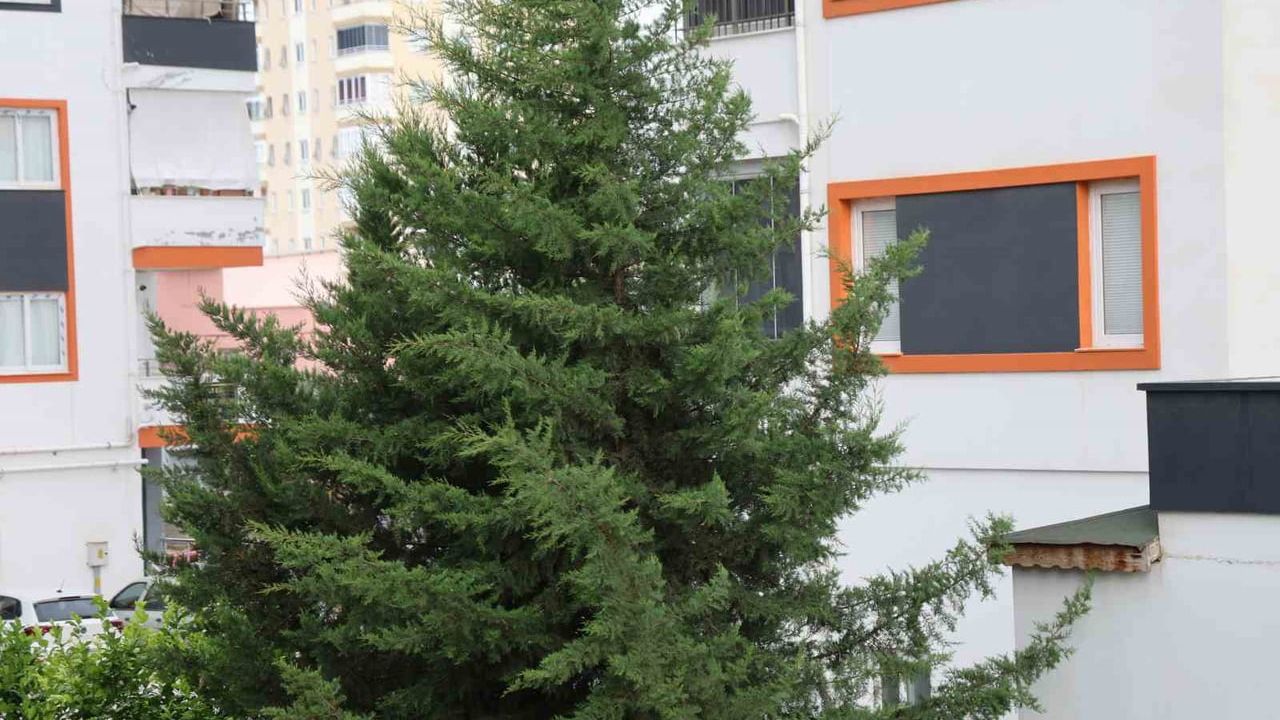 Adana'nın kuzey ilçelerinde kuvvetli rüzgar yerel hasara yol açtı