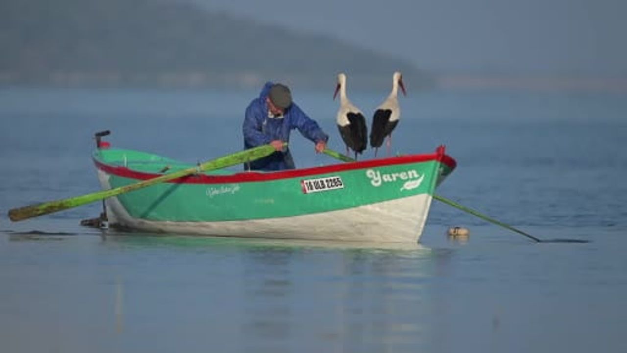 Adem amcanın kayığı yaren ve nazlı ile gölün kuşlarına ev sahipliği yapıyor