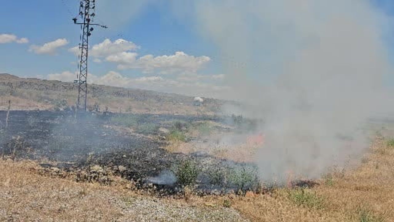 Adilcevaz'da otluk alanda çıkan yangın korkuttu