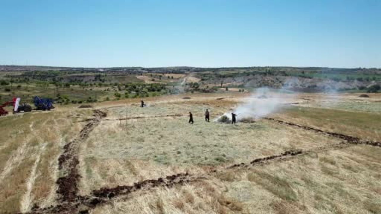 Adıyaman'da asırlık lezzet firik bulgurunun hasadı başladı