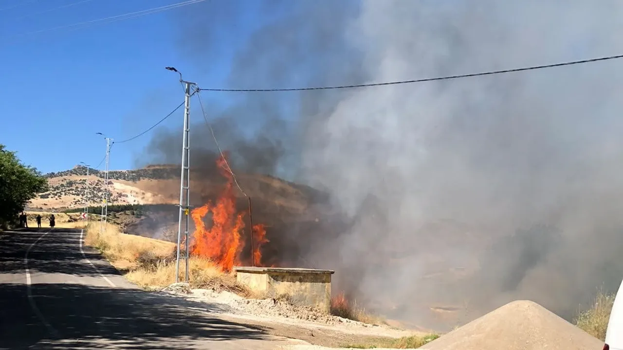 Adıyaman'da elektrik akımına kapılan karga bahçe yangınına yol açtı