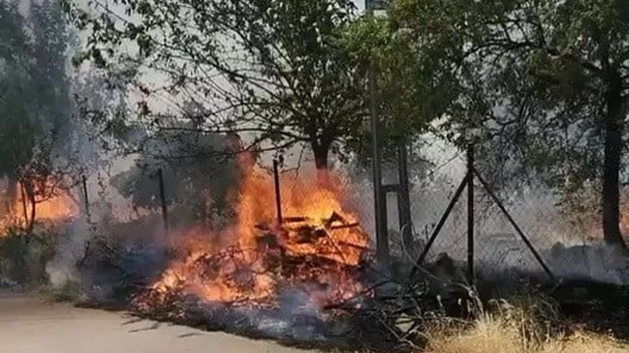 Adıyaman'da Karadağ ormanlık alanda çıkan yangın korkuttu