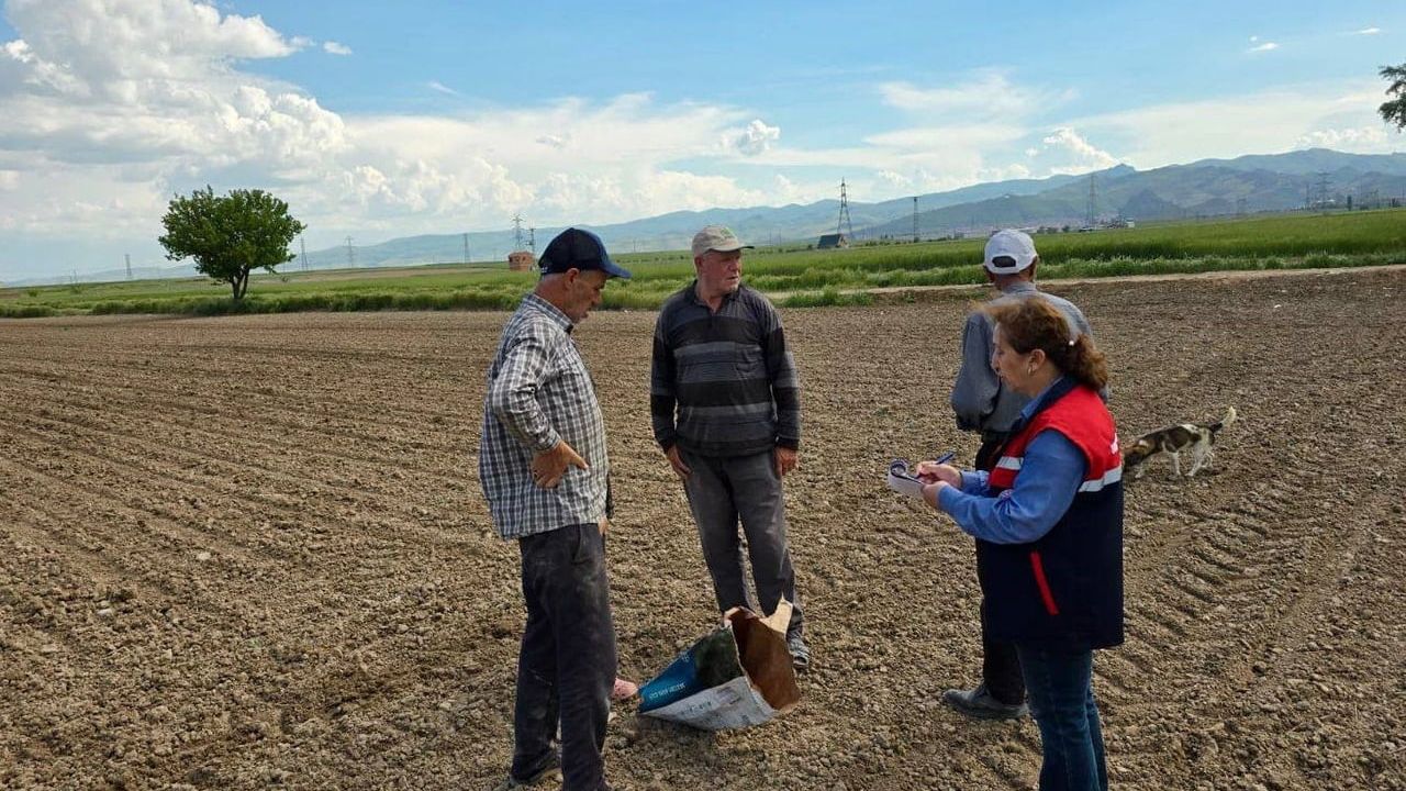 Afyonkarahisar'da turşuluk lahana ve dane mısır dikim ve ekim çalışmaları sürüyor