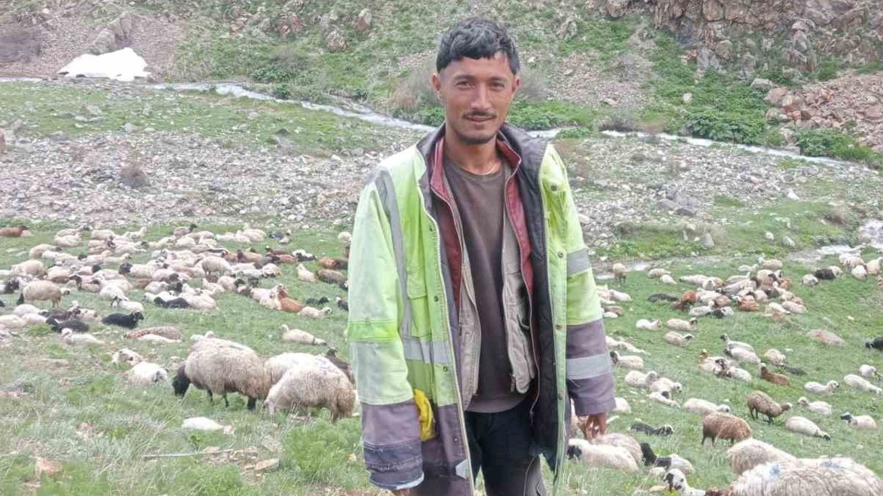 Ağrı’da Dilekyazı Yaylasındaki Cinayet Zanlısı Aydıntepe Jandarma Kontrol Noktasında Yakalandı