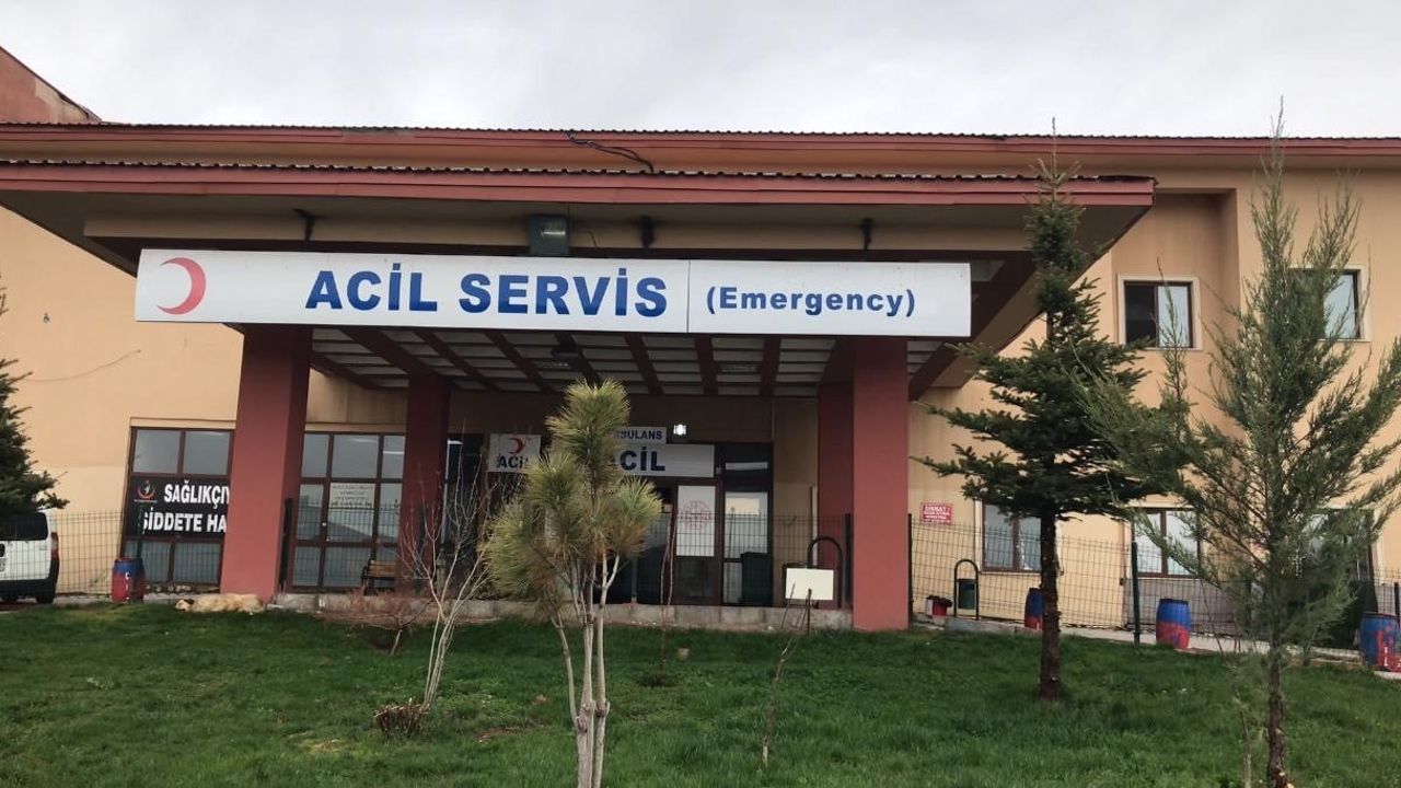 Ağrı'da yardım isteyen şahıs sürücüyü vurup aracını gasp etti