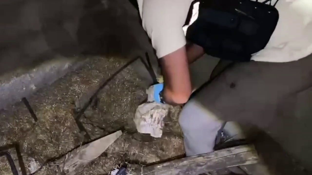 Ahırda saman içinde 2 kilo 422 gram metamfetamin ele geçirildi