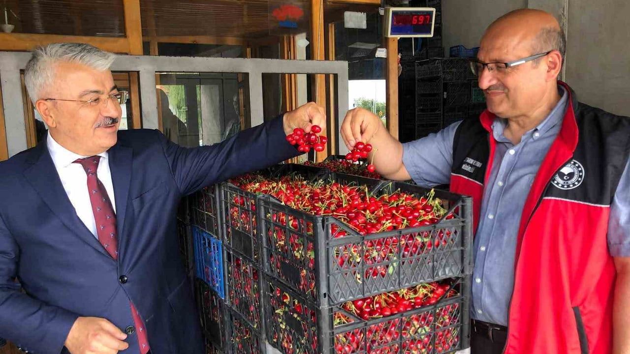 Akşehir Kirazı üretimi sahada değerlendirildi: kalite, kapasite ve pazarlama öncelikleri