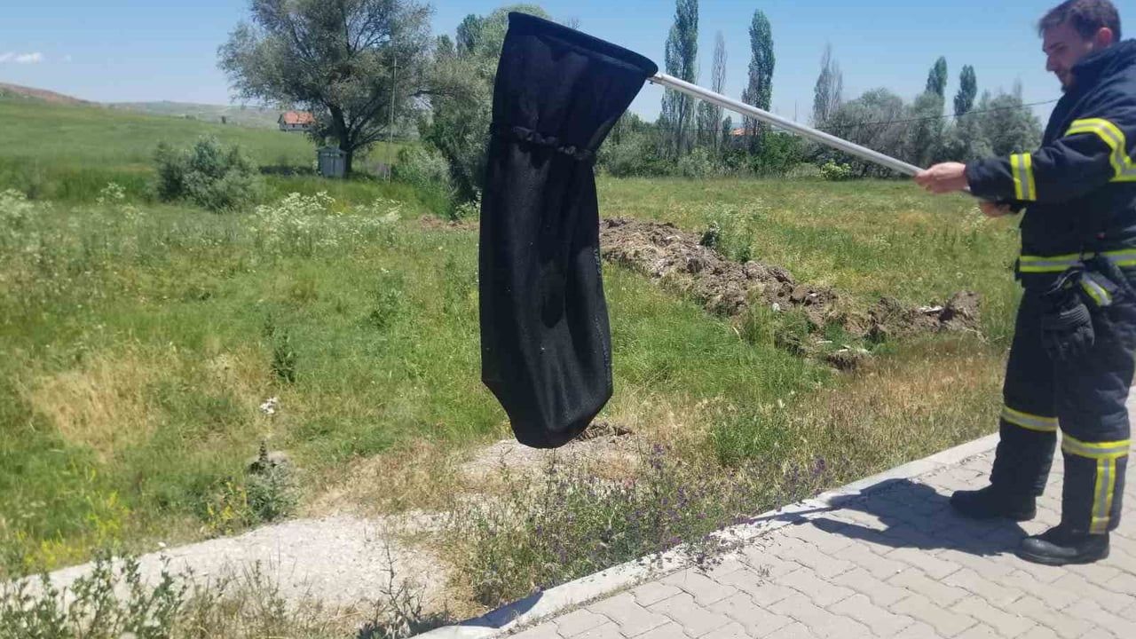Alaca'da eve giren yılan itfaiye tarafından yakalanıp doğaya salındı