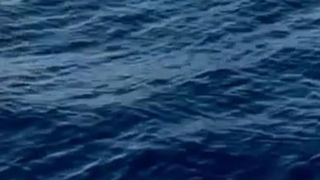 Alanya açıklarında balina görüntülendi