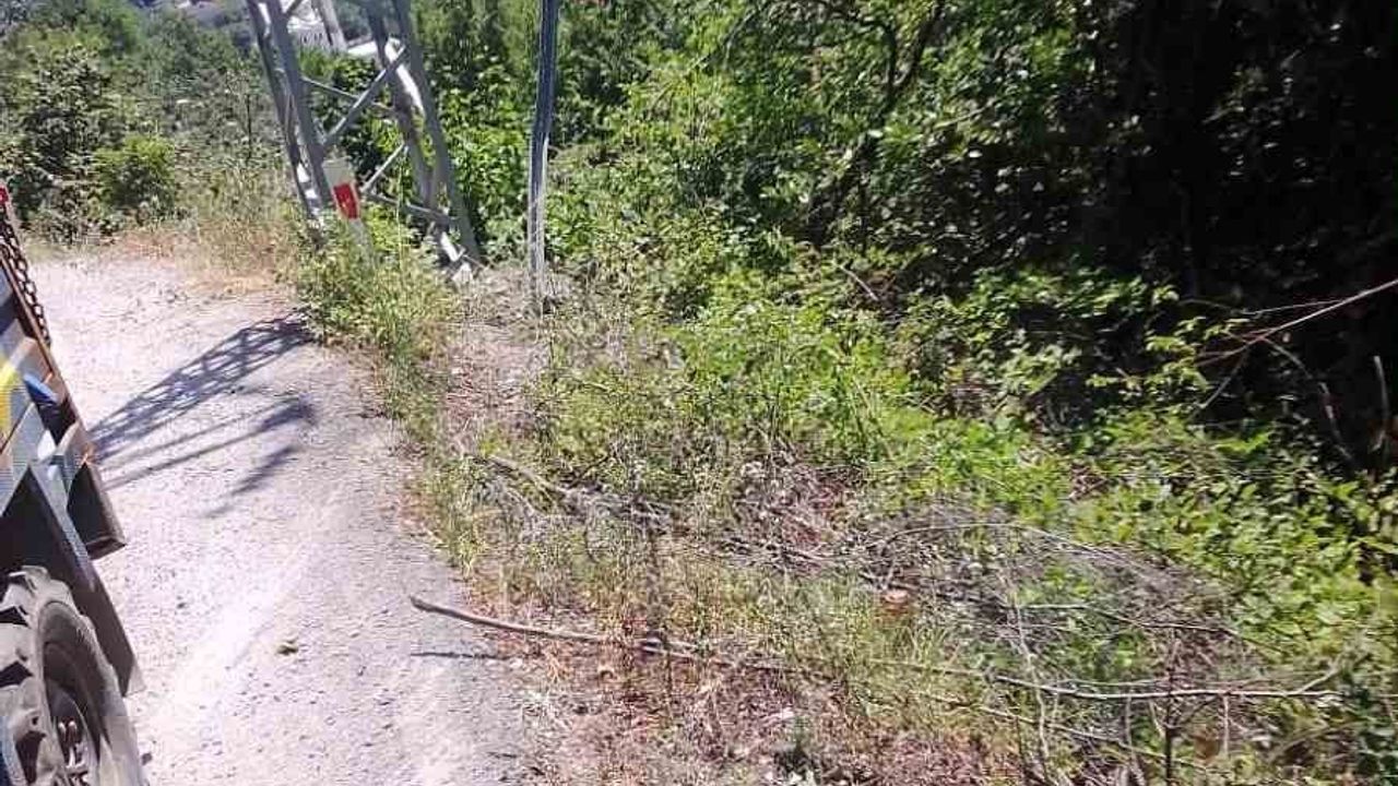 Alaplı'da kontrolden çıkan otomobil ormanlık alana yuvarlandı: 3 kişi yaralandı