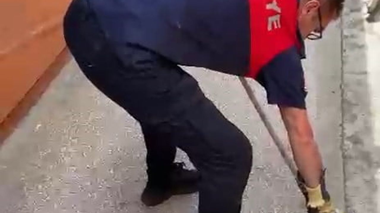 Alaplı'da sağlık ocağına giren 1,5 metrelik yılan itfaiye tarafından yakalandı